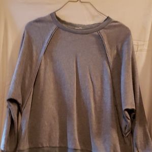 Easel gray sweatshirt